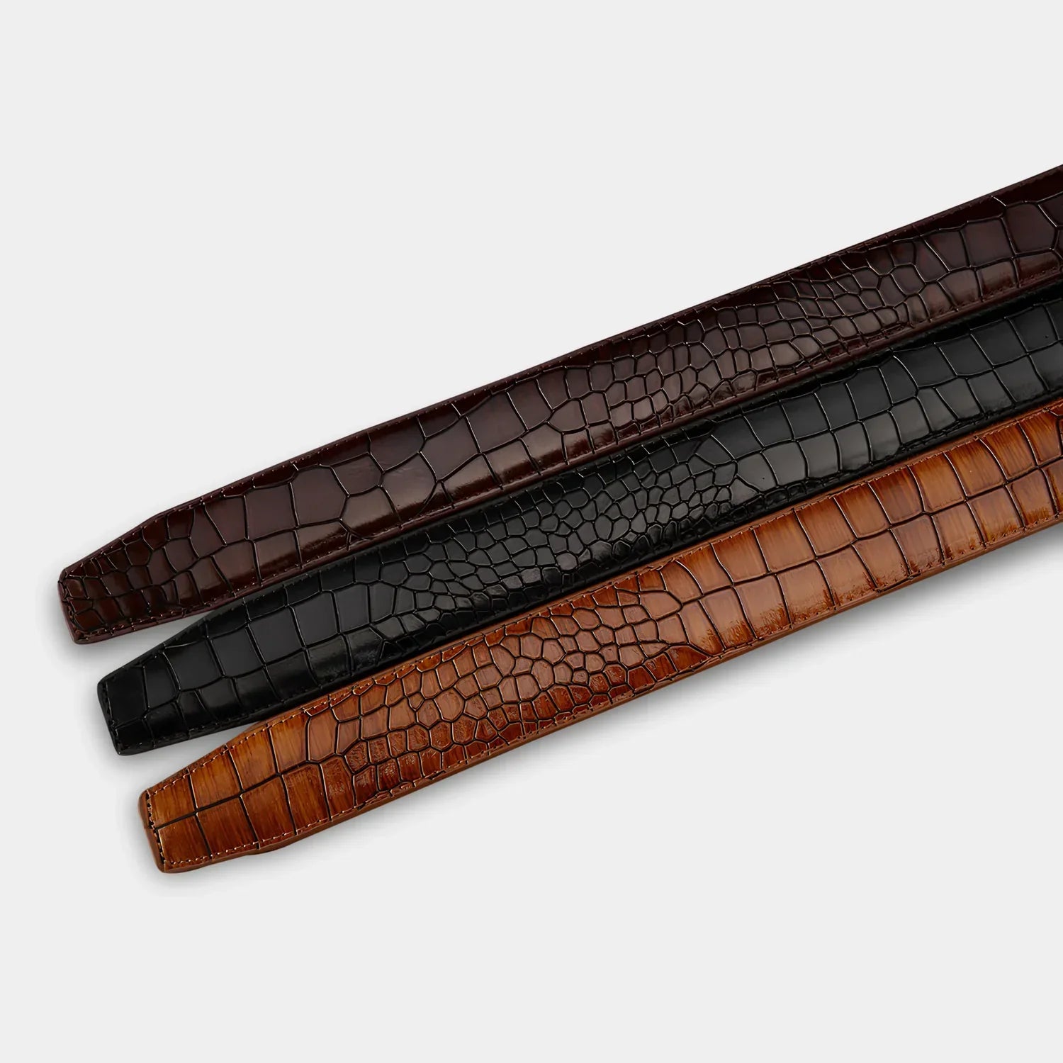 BELT BANDS